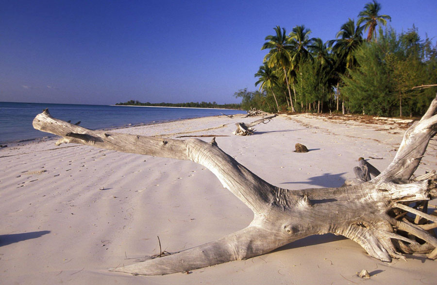 Mafia-Island-Tanzania-Beach-Holiday-White-Sand-Beach