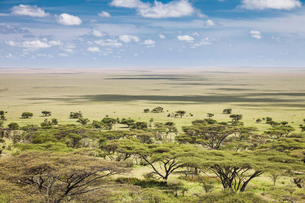 Serengeti-National-Park-Tanzania-safari-Destination-1