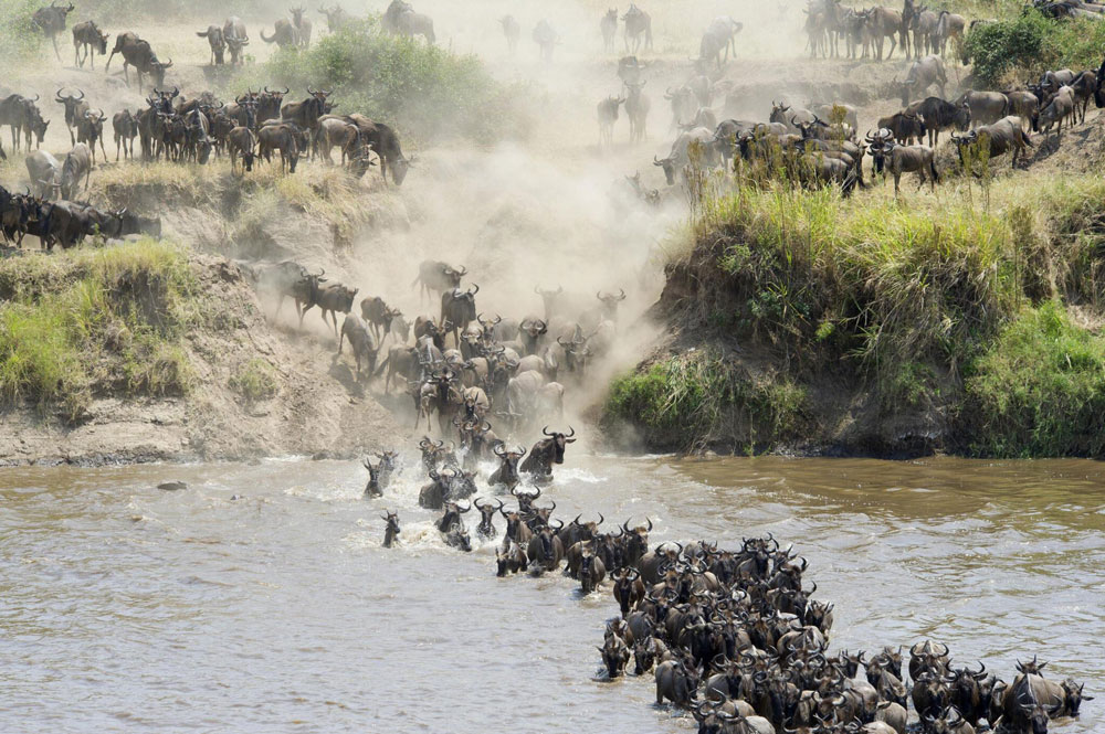 Serengeti-National-Park-Tanzania-safari-Destination-4