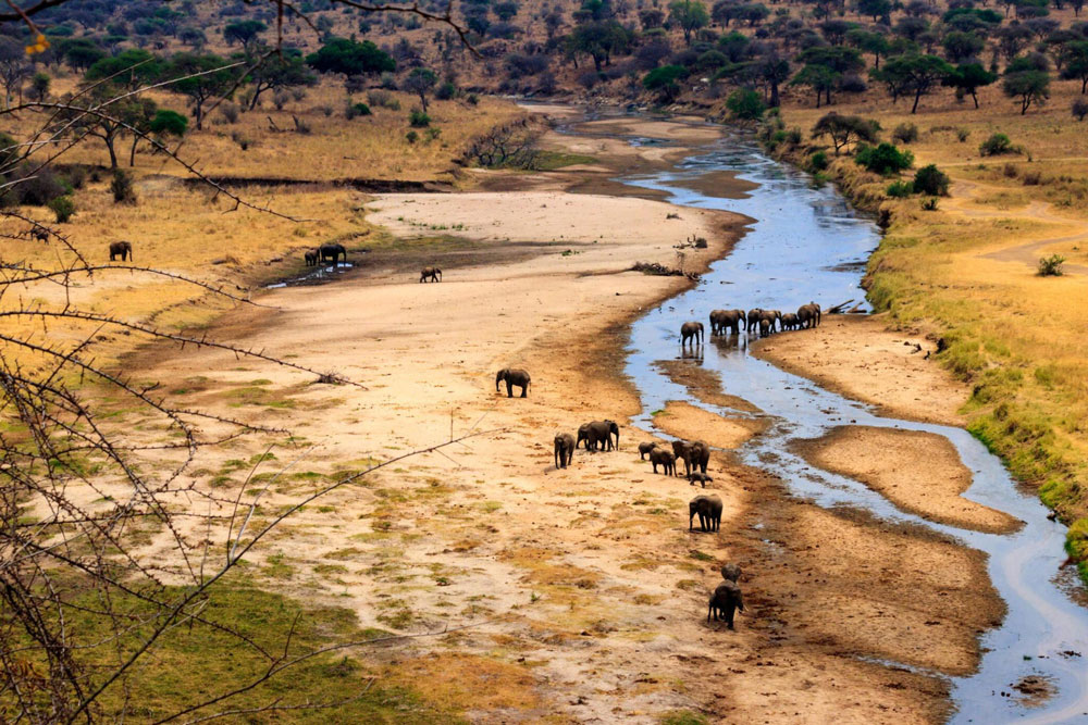 Tarangire-National-Park-Tanzania-safari-destination-2