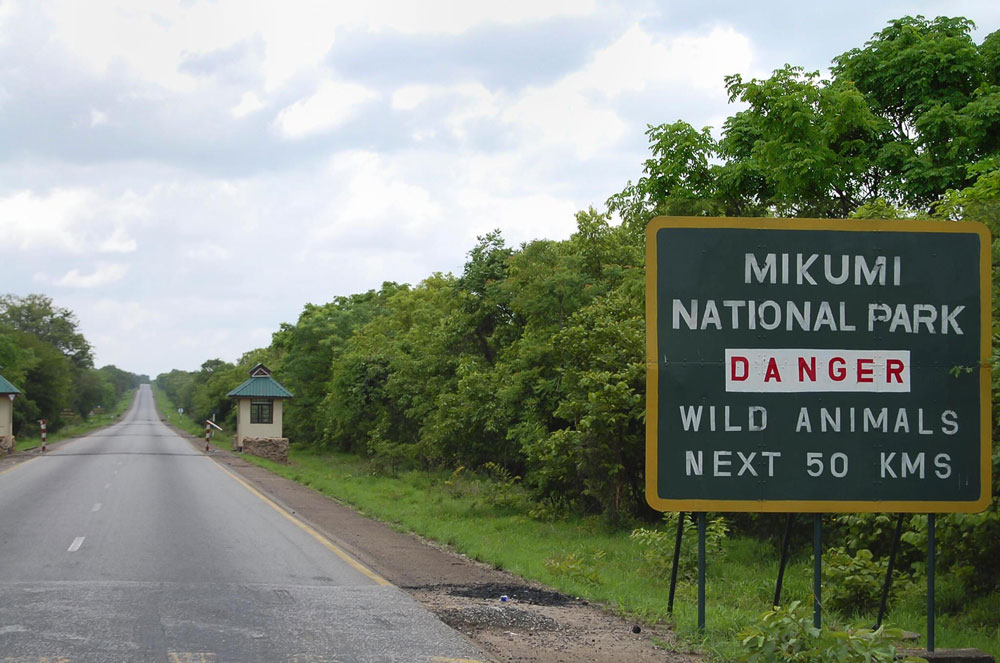 Mikumi-National-Park-Tanzania-Safari-3