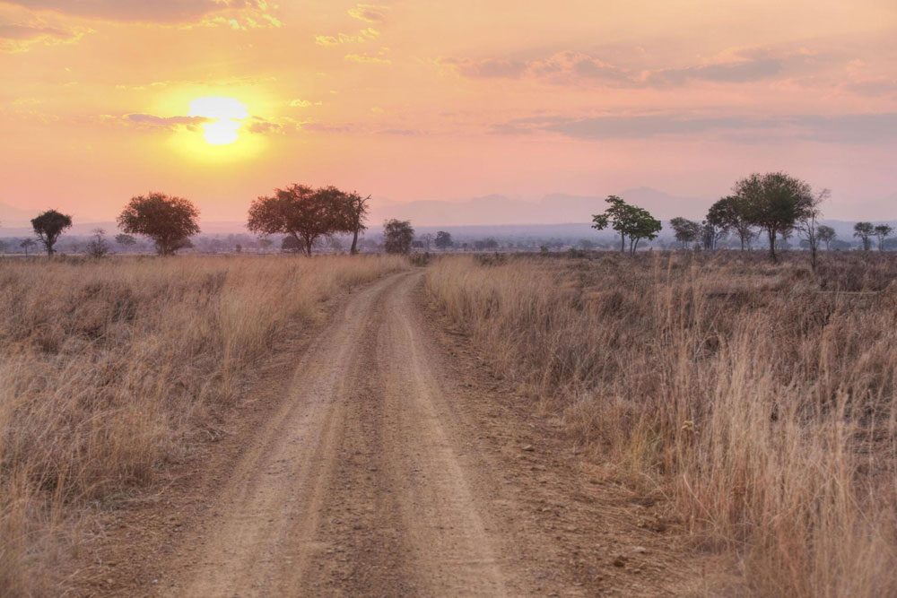 Mikumi-National-Park-Tanzania-Safari-4