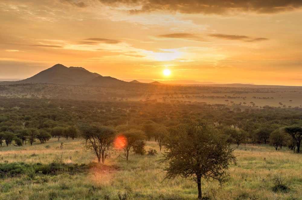 Serengeti-National-Park-Tanzania-safari-Destination-2
