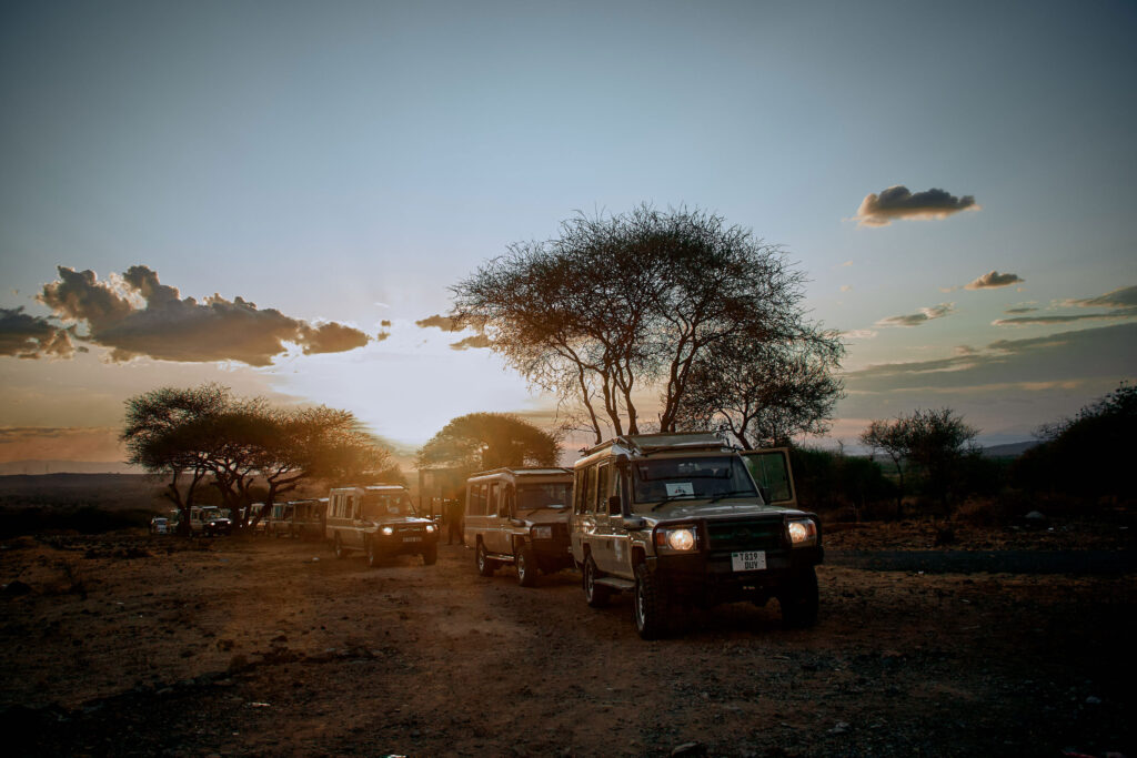 Voices of the Wild – Real Stories from Tanzania Safaris