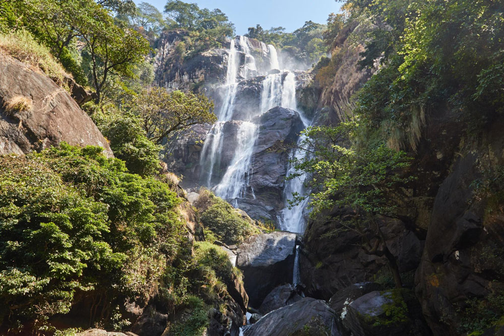 Udzungwa-Mountains-National-Park-Tanzania-Safari-1