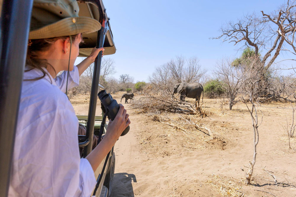 From City Life to Savannah – Transformational Journeys in Tanzania
